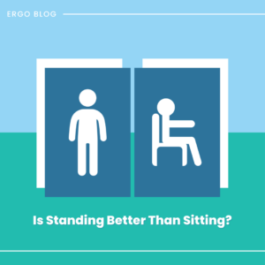 Ergo Blog