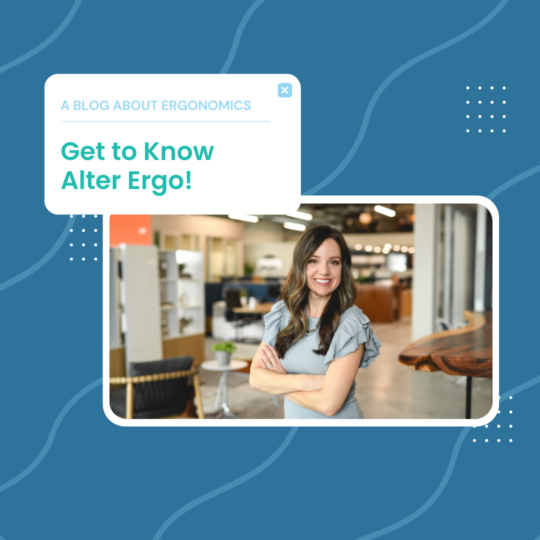 Welcome to the Alter Ergo Blog