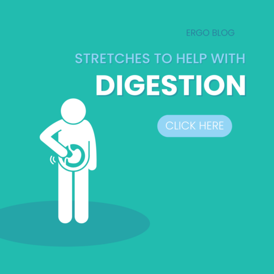 Stretches to Help with Digestion