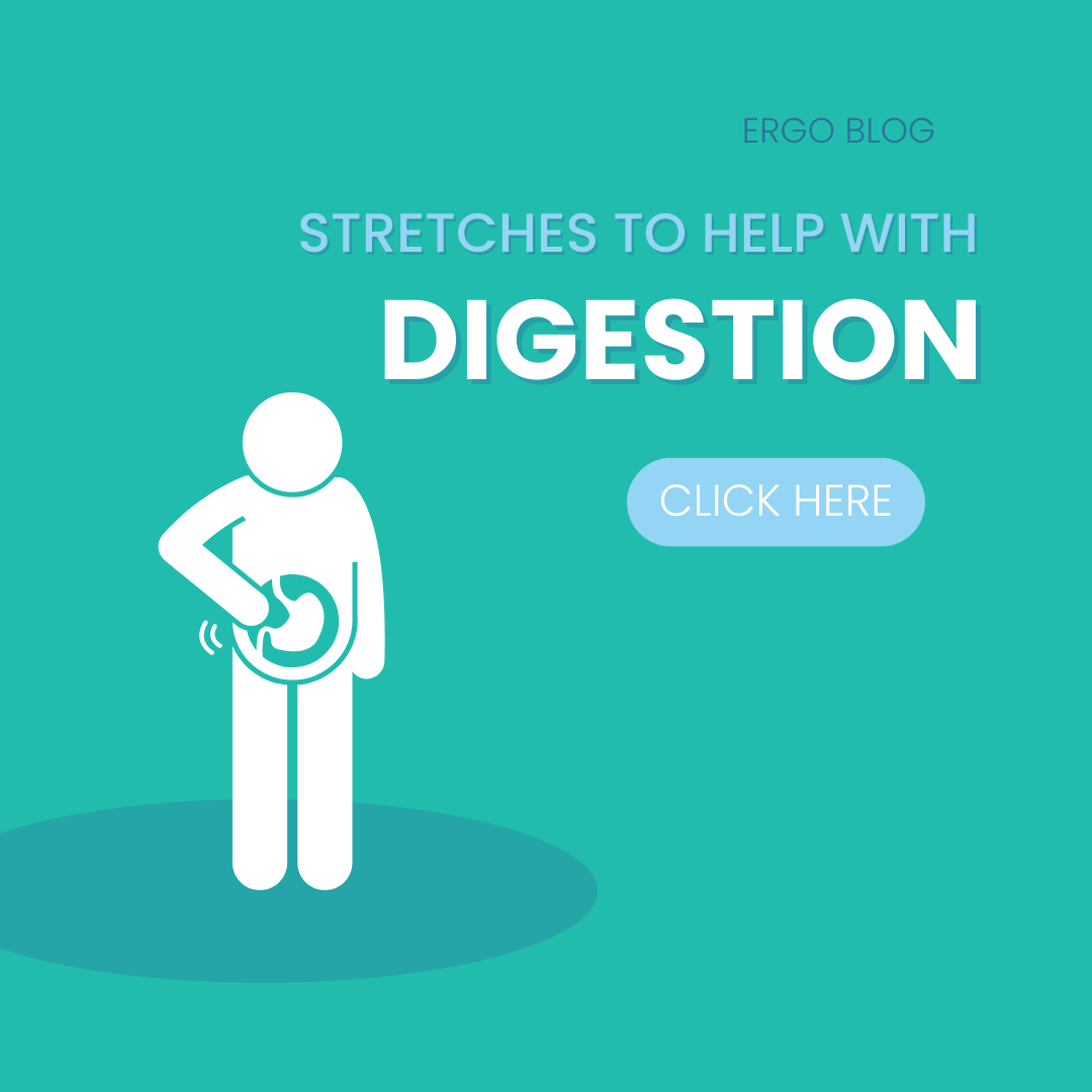 stretches-to-help-with-digestion-alter-ergo